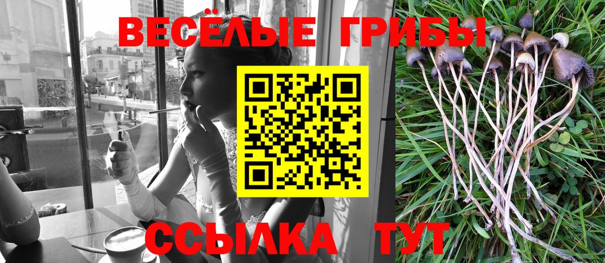 как найти закладки  Псилоцибиновые грибы ЛСД  Вход с VPN  Аксай 