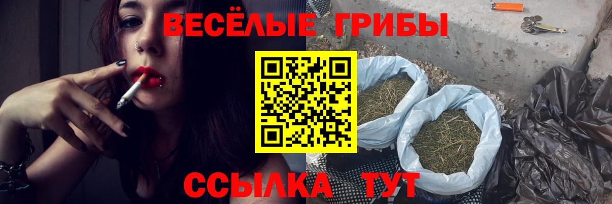 Галлюциногенные грибы Psilocybe Аксай