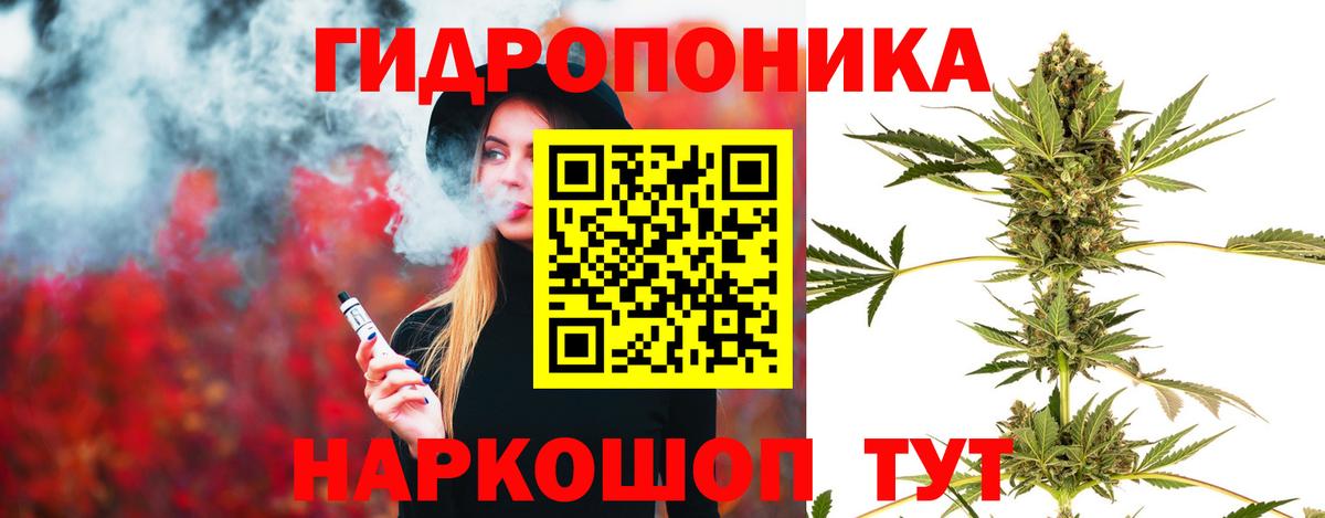 Шишки марихуана планчик  Каннабис Amnesia  МАРИХУАНА гибрид  Аксай  Вход с VPN  Шишки марихуана конопля 